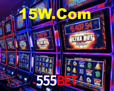 Interface Premium 555bet